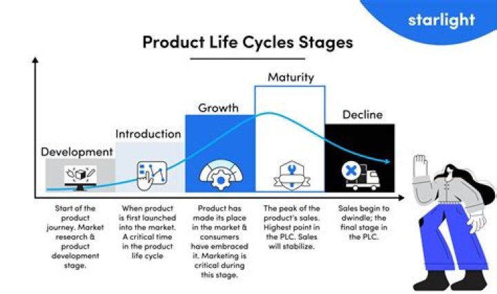 What are the stages of PLC?