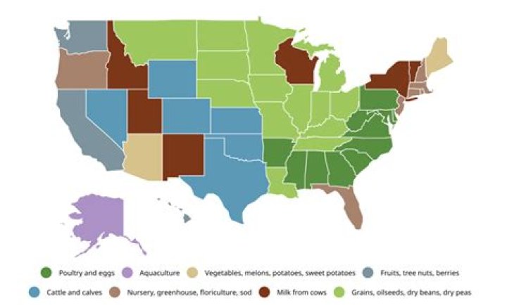 What are the top agricultural products in North Carolina?