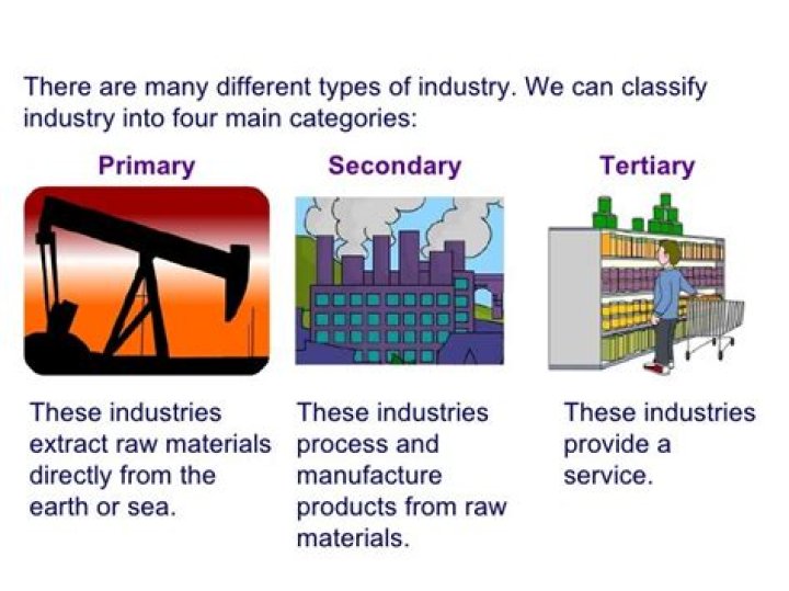 What are the two main industry classification systems in the US used by the federal government?