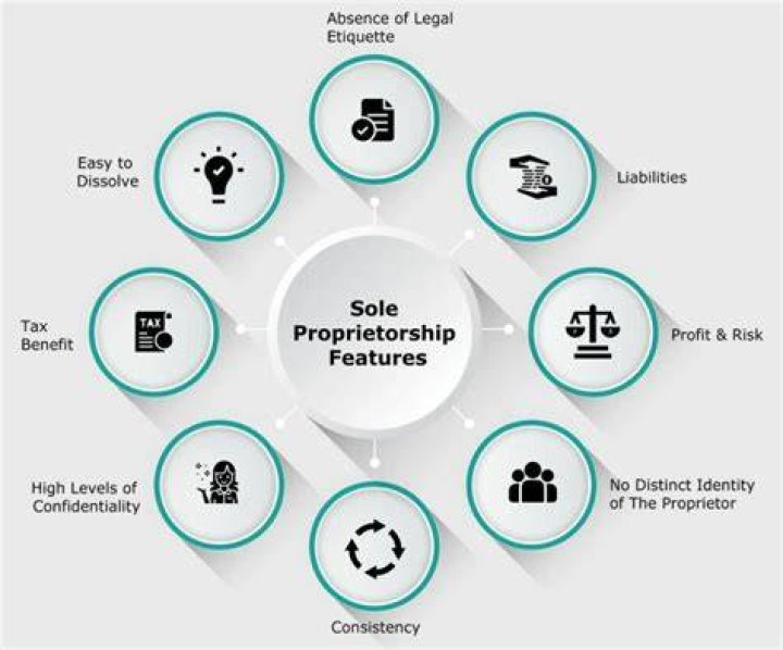 What business is sole proprietorship?