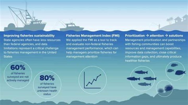 What can you do with a fisheries management degree?