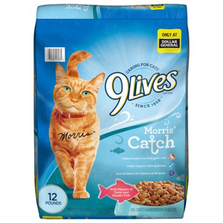 What cat food did Morris the Cat represent?