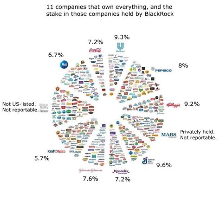 What companies does Oneida own?