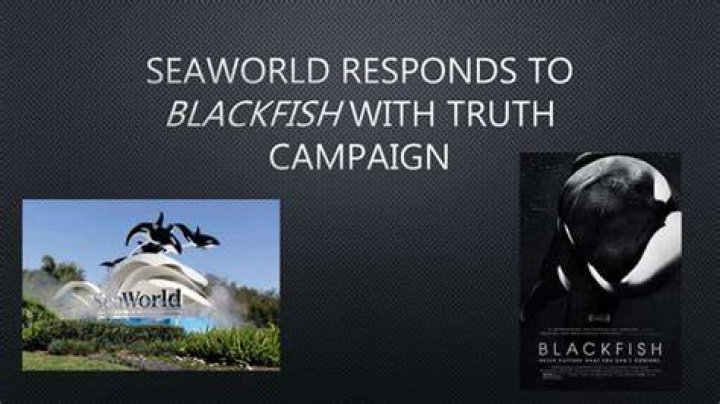 What did SeaWorld do in response to Blackfish?