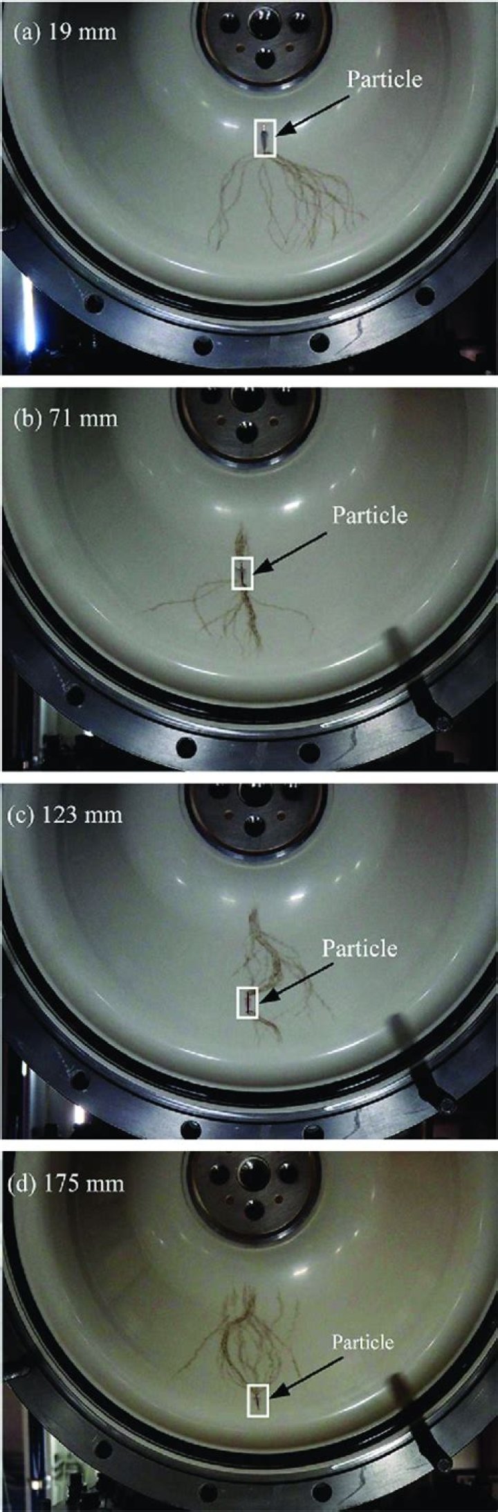 What do we mean by chromium?