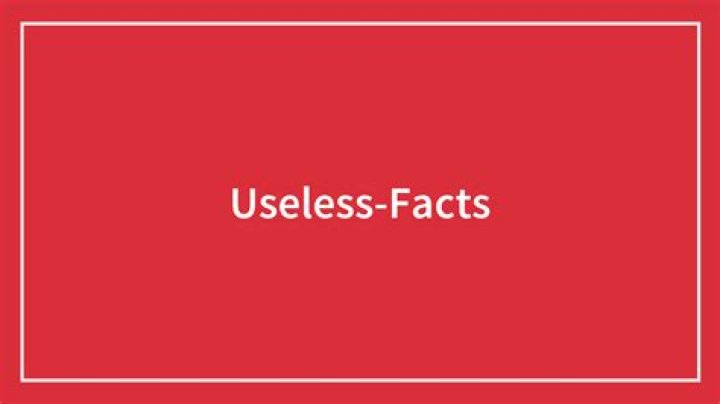 What do you call useless facts?