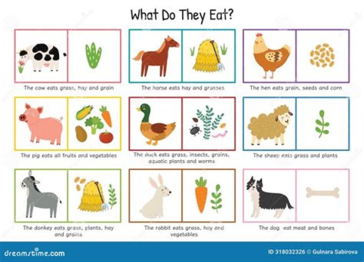 What do you eat on the Camino?