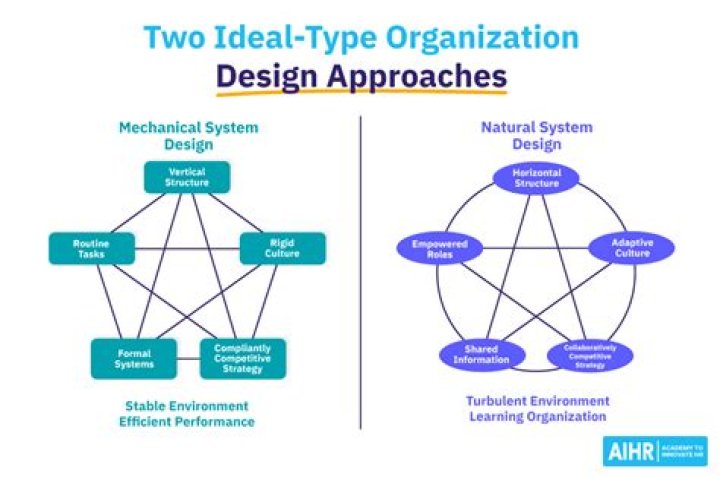 What do you mean by Organisational design?