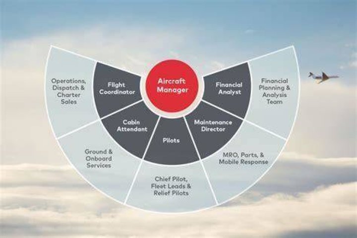 What does an aviation manager do?