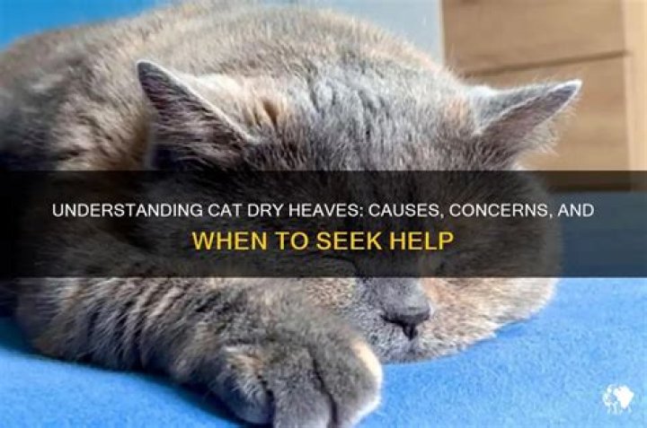 What does dry heaves mean?