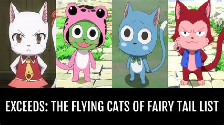 What does exceeds mean in fairy tail?