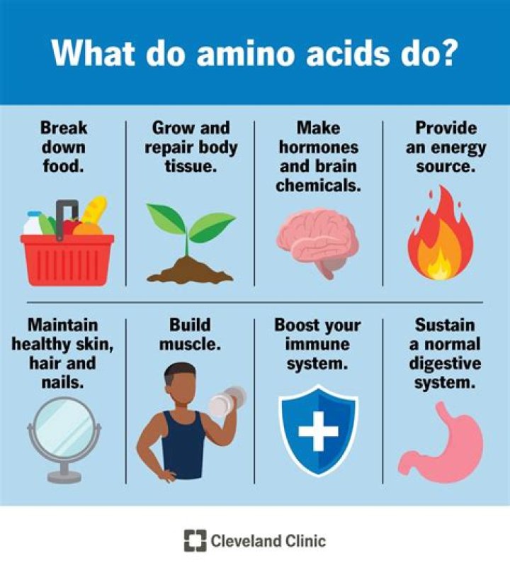 What does liquid amino acids do for your body?