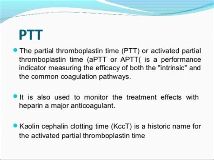 What does PTT mean?