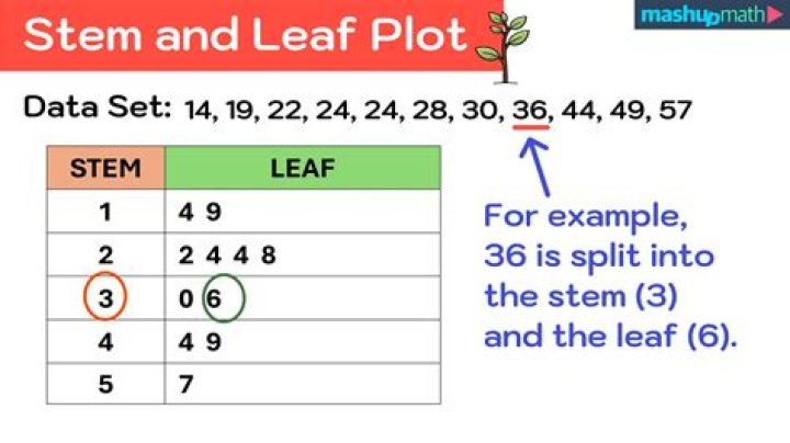 What does taking a leaf mean?