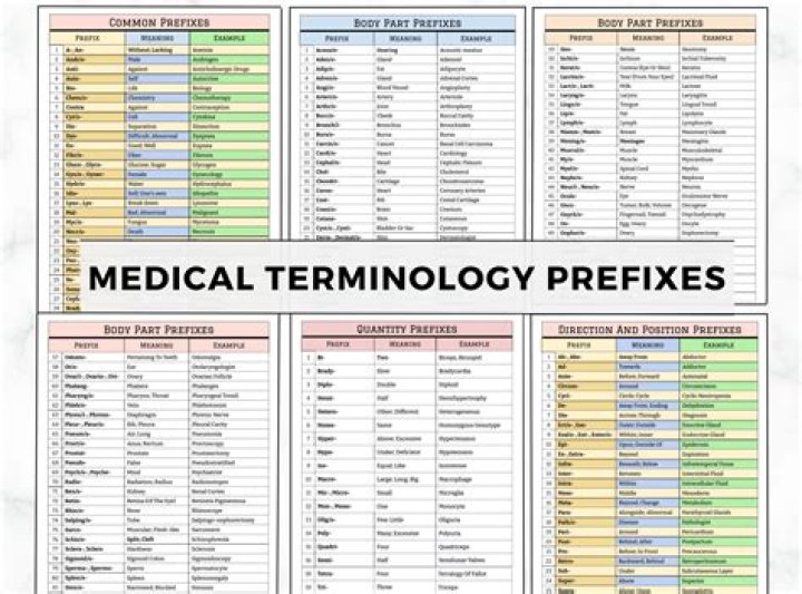 What does the suffix ZOA mean in medical terms?