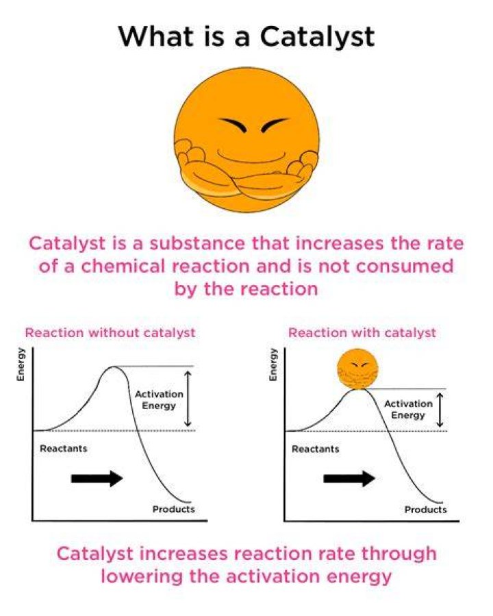 What does the term catalyst mean?