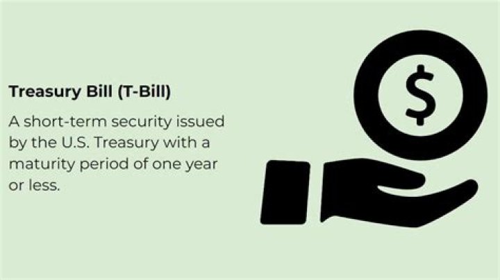 What does the Treasury Solicitor do?