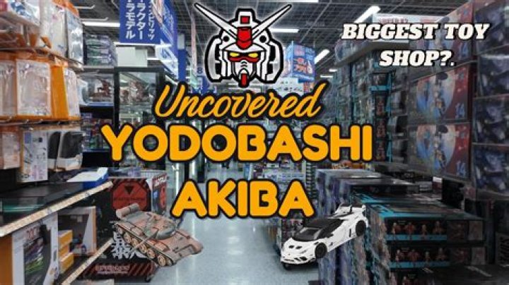 What does Yodobashi Akiba sell?