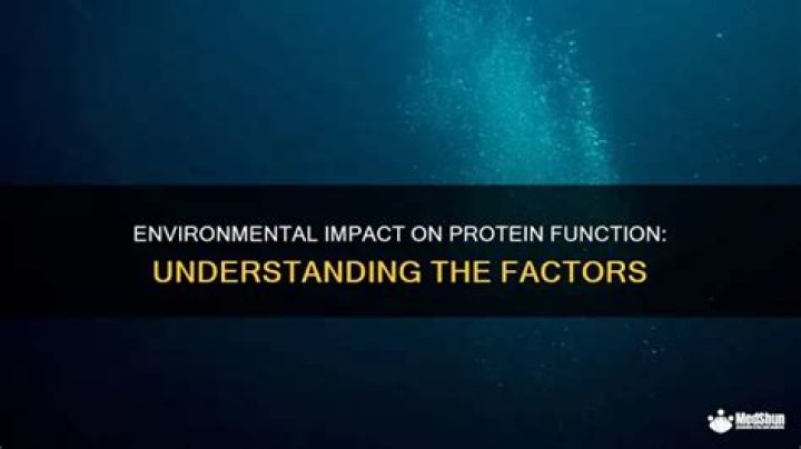 What environmental factors affect proteins?