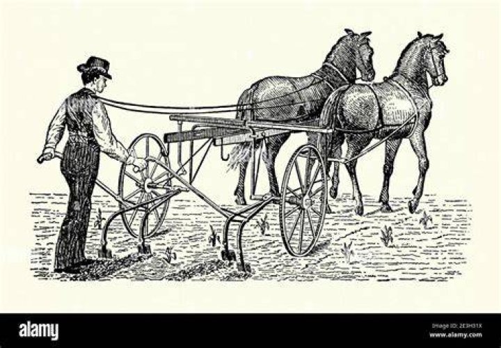 What farm equipment did horses pull?