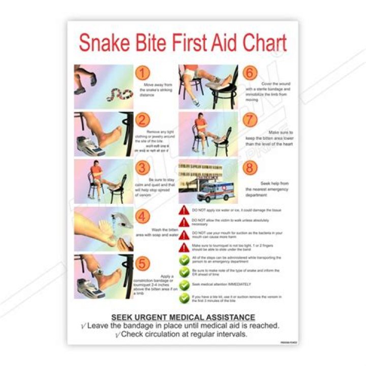 What first aid steps must you take in the case of snake bite?