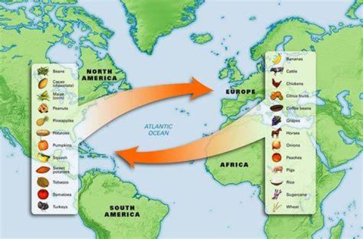 What food came from the New World to the Old World?