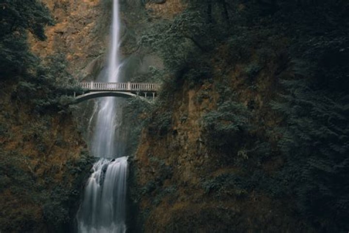 What grants are available in Oregon?