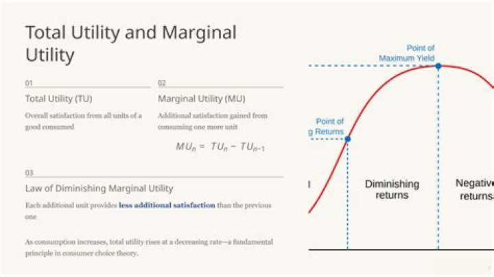 What happen to the marginal utility MU when total utility Tu is maximum?