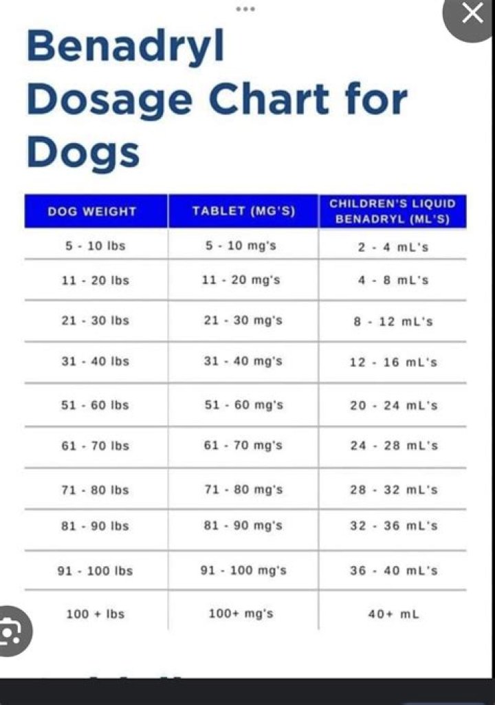 What happens if you give your dog too much antihistamine?