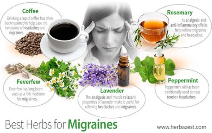 What herb helps with headaches?