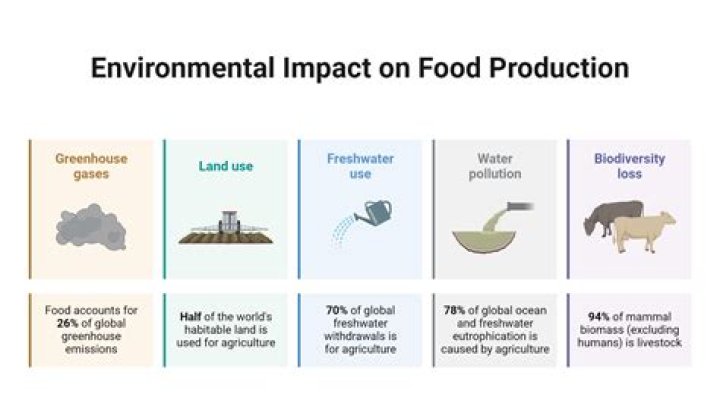 What impact does making the product have on the environment?