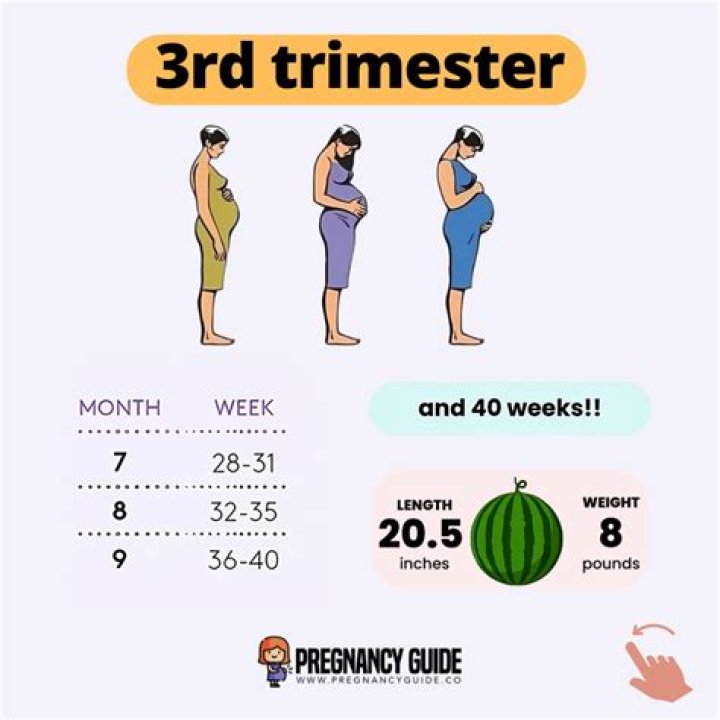 What is 4th pregnancy?
