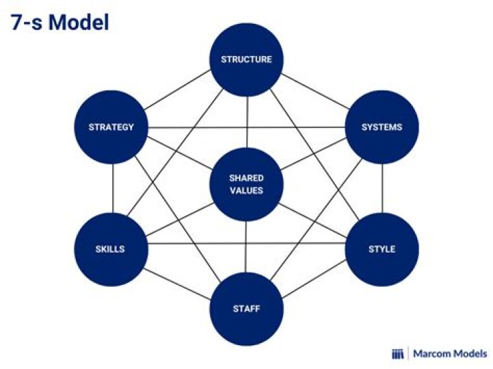What is 7S management?