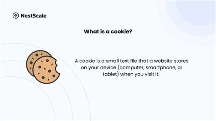 What is a cookie simple definition?