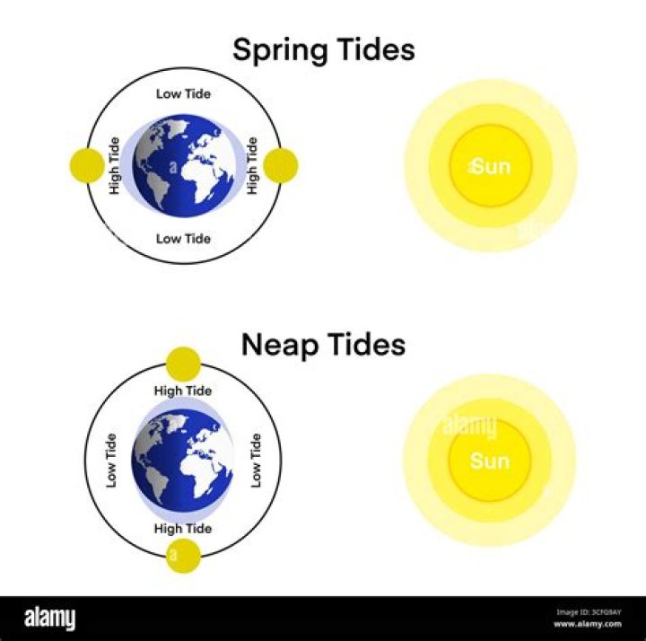 What is a difference between spring and neap tides quizzes?