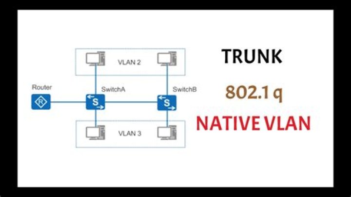 What is a dot1q trunk?