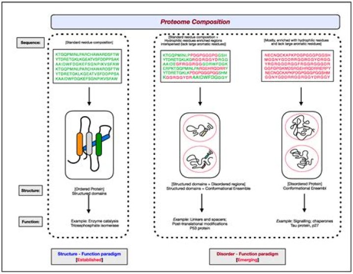 What is a good indicator of intrinsic disorder in proteins?