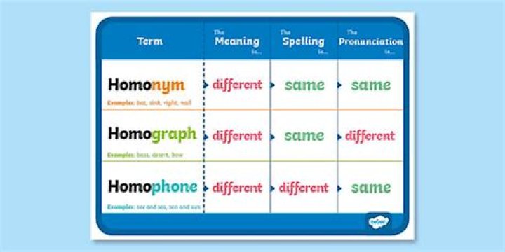 What is a homograph 4th grade?
