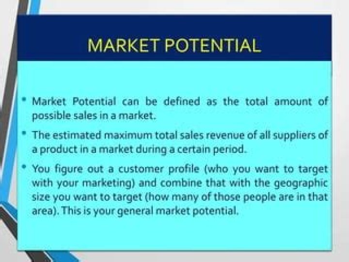 What is a market potential study?