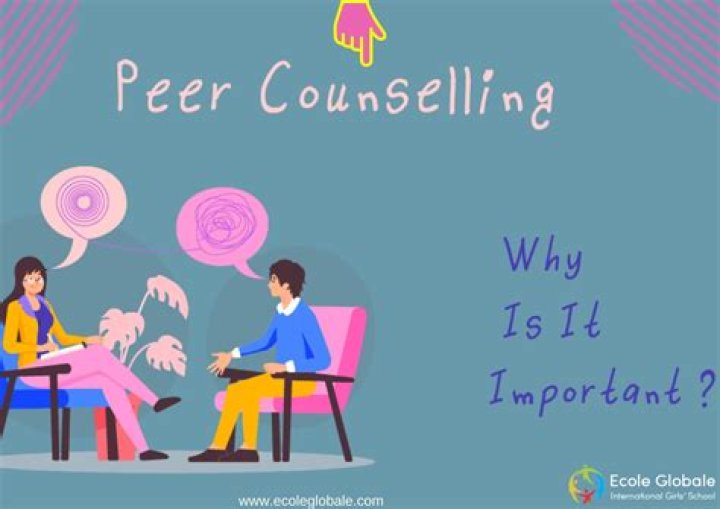 What is a peer counseling program?