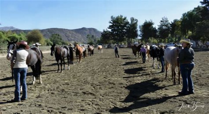 What is a ranch horse show?