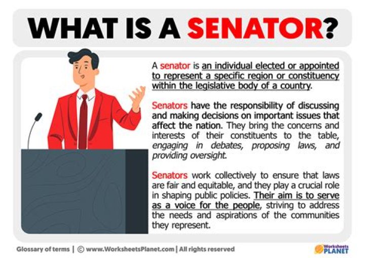 What is a senator simple definition?