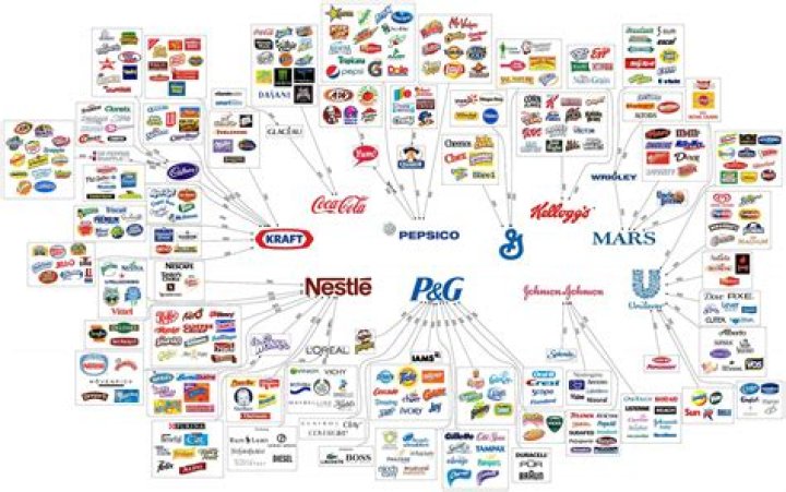 What is a subsidiary company in Canada?