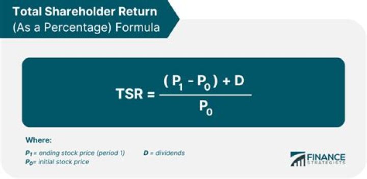 What is a TSR in business?