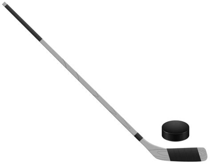 What is a twig in hockey?