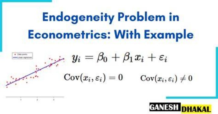What is an Endogeneity problem?