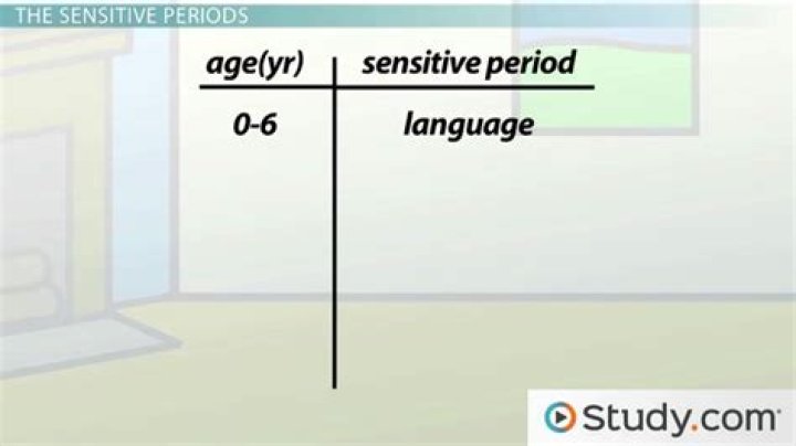What is an example of a sensitive period of development?