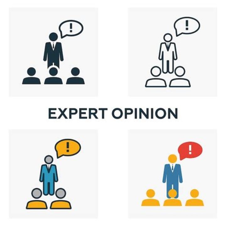 What is an expert opinion?