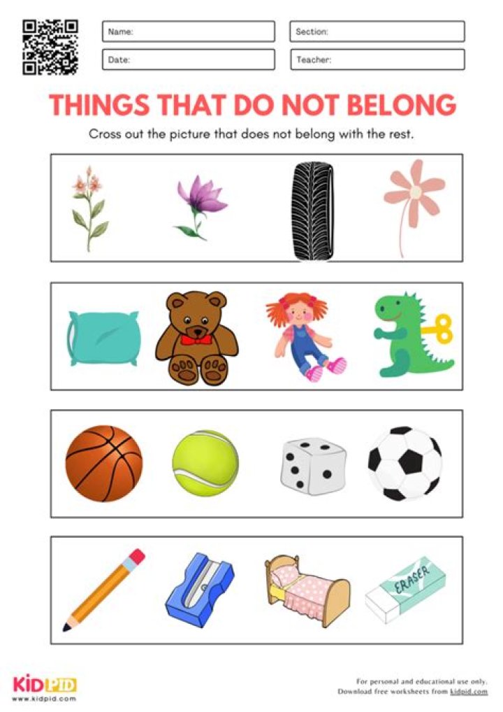 What is another word for does not belong?
