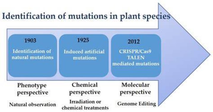 What is artificial mutation?